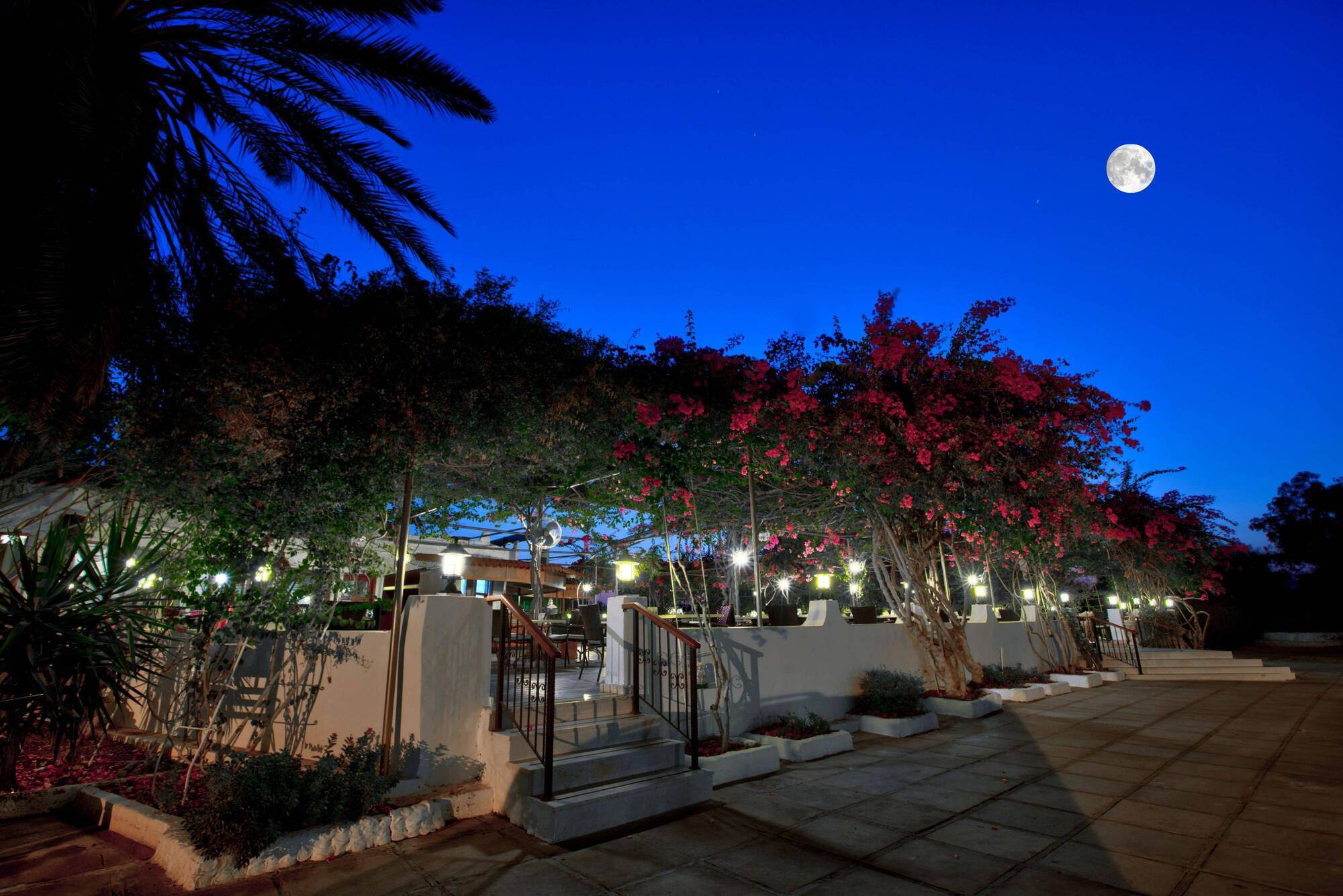 Merit Cyprus Gardens Holiday Famagusta  Exterior foto